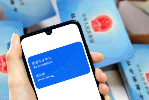 和泽24小时医保套取实操指南：老司机分享高效安全操作流程